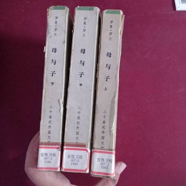 Authentic Books | Mother and Son (France) by André Gide 9787501600816 Authentic Books | Mother and Son (France) by André Gide 9787501600816
