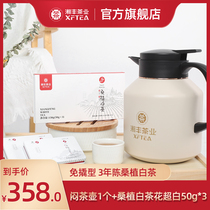 Xiangfeng Mulberry Plant White Tea Flower Super White Series White Tea Grain Zhangjiajie Old White Tea Insulation Smoldering Teapot Combined Suit