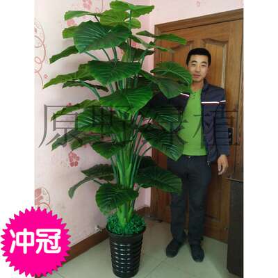 Artificial trees, water dripping Guanyin green plants, artificial plants, floor-standing potted plants, large living room bonsai, artificial flowers, decorative plastic floral art
