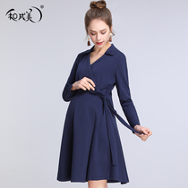 Pregnant womens spring and autumn clothes knitted pregnant womens long-sleeved long-sleeved Autumn Work dress