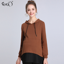Autumn New pregnant womens sweater womens hooded pullover top long sleeve spring and autumn OL professional wear coat tide