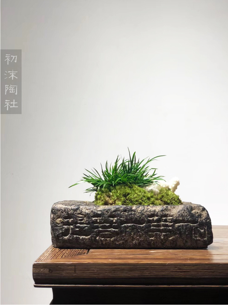 Poly real scene of tea plant flower tea table furnishing articles calamus basin ceramic vase zen imitation of han brick bonsai