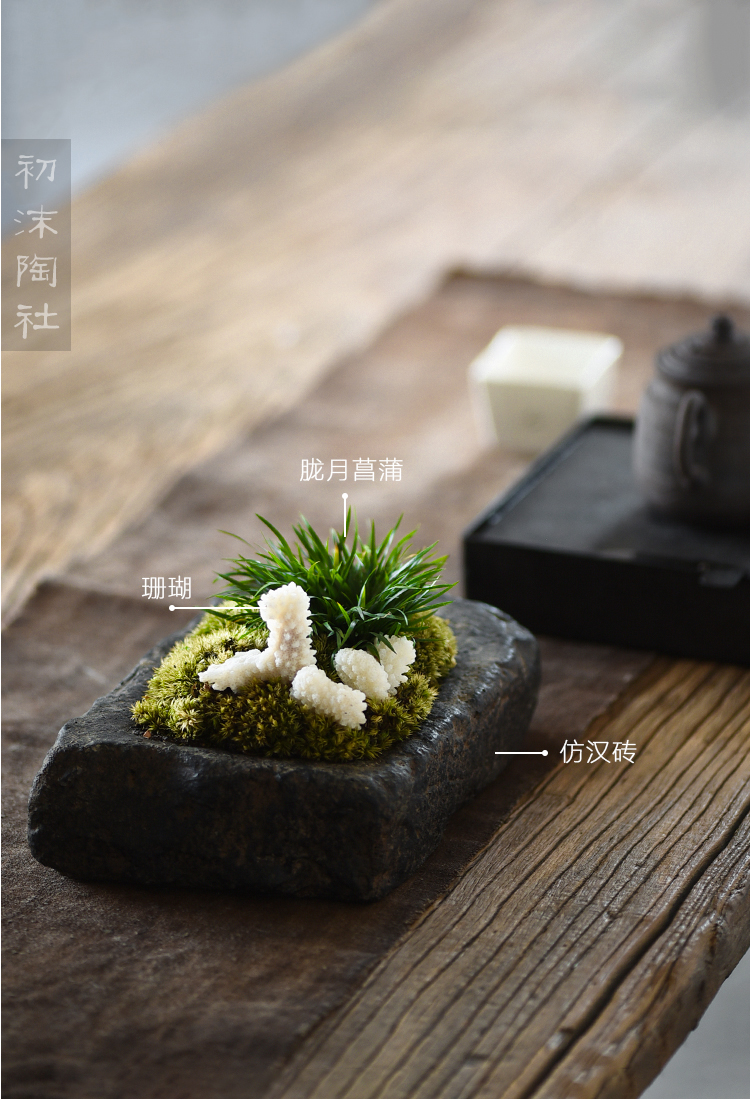 Poly real scene of tea plant flower tea table furnishing articles calamus basin ceramic vase zen imitation of han brick bonsai