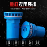 Рыба -аквариум.