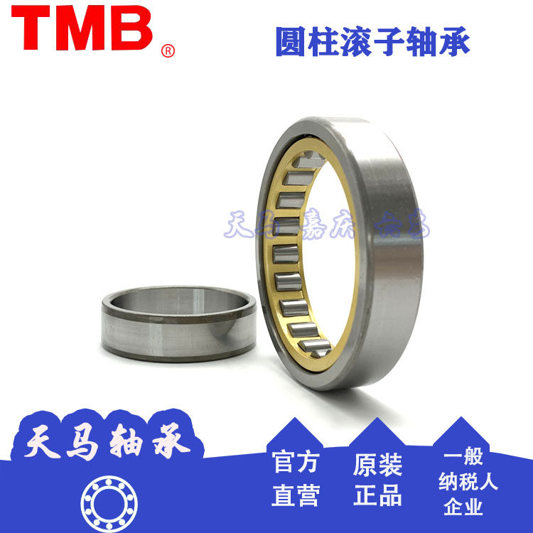 Tianma Class II cylindrical Roller Bearings NU NJ NUP RNU1011 1012 1013 1014 1015 M
