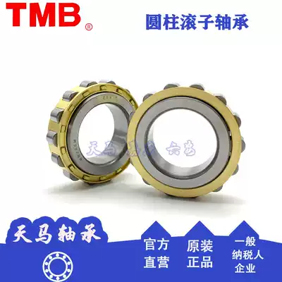 Tianma cylindrical roller reducer eccentric bearing RN205M RN206M RN307M RN309M RN312M