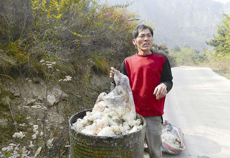 Pine resin rosin natural pine oil pine butter