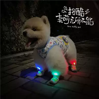 BeartoffyPet pet night walking shoes light dog shoes light clip strap side portable belt safety Nightline light
