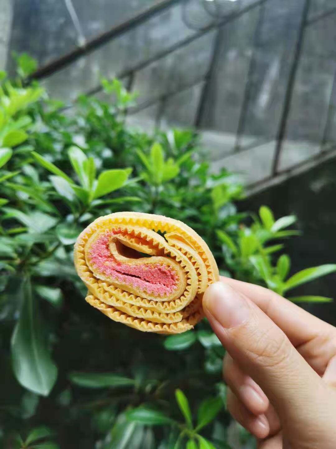 South County Special Production Store Handmade Egg Roll Frying 250 gr Crisp Bulk Ren Three transports occasionally with small crumbly