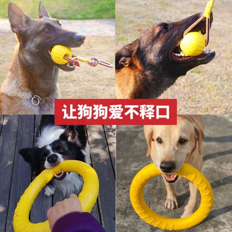 Dog training special ball toy ball bite-resistant German Shepherd Labrador training ball Frisbee pull ring pet puppy grinding