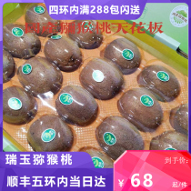 Rui 100 Ruiyu macaque with 18 grain 4 kilos and ready-to-eat goosebumps