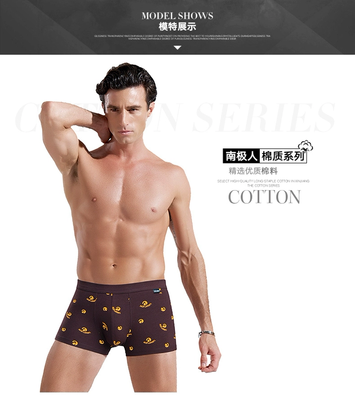 Nam Cực đồ lót nam cotton cotton mid-boxer quần trẻ trung gợi cảm nam bốn góc đồ lót cotton lỏng kích thước lớn quần short