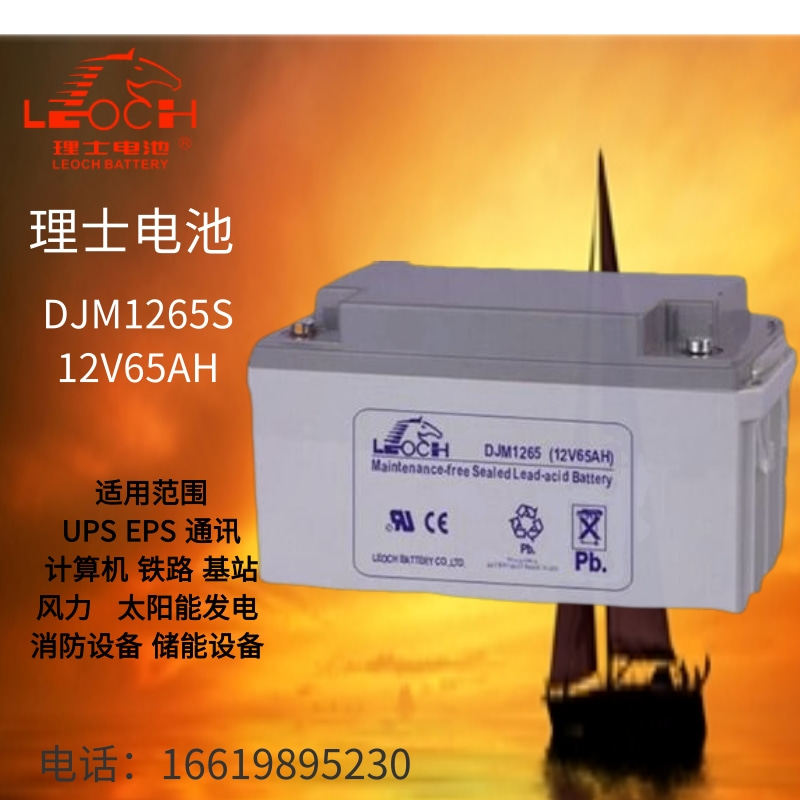 Leoch battery DJM1265S uninterruptible power supply battery Leoch 12V65AH EPS power lead-acid battery