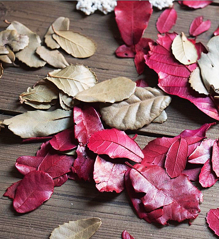 The kindergarten is decorated with pure natural air-dried leaves. Photograph props of forest leaves. Retro wind simulation of tree leaves