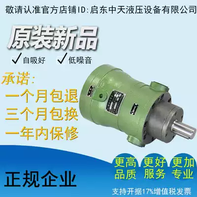 Factory direct sales CY series axial piston pump 10MCY 10MCY14-1B axial piston pump hydraulic pump