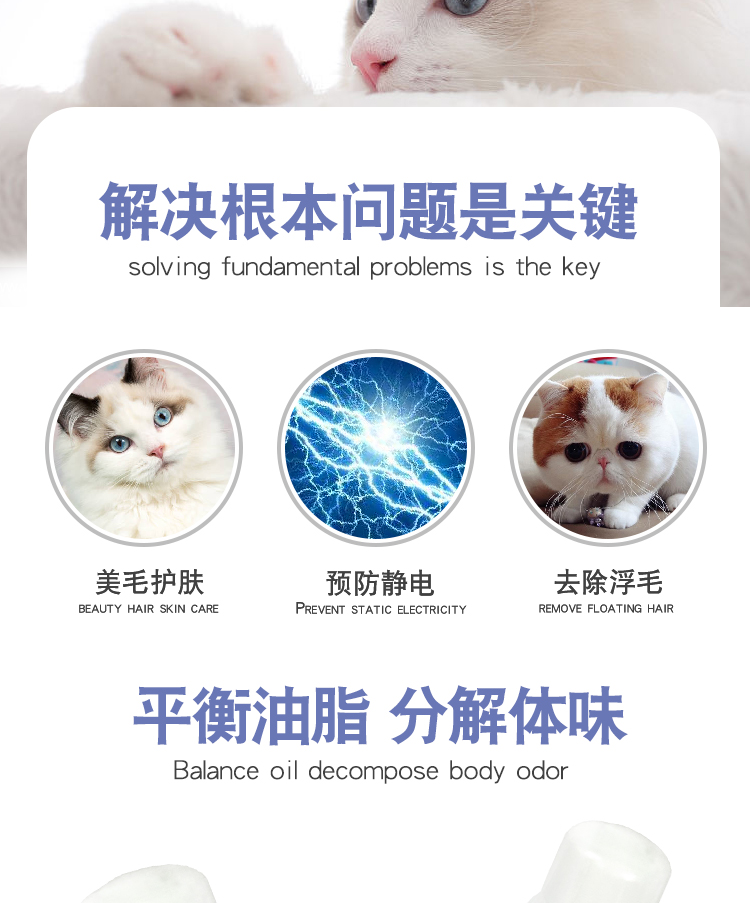 Pet giặt khô bột mở nút xịt mèo shun giải pháp chăm sóc tóc mèo xanh Mèo con có sẵn trong vòng 3 tháng - Phụ kiện chăm sóc mắt cách sử dụng nước xả vải