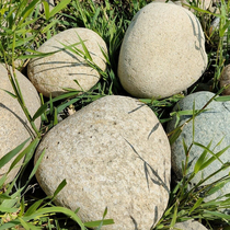 Large river pebble lawn landscape stone cobblestone Taishan lettering stone river square school garden large stone