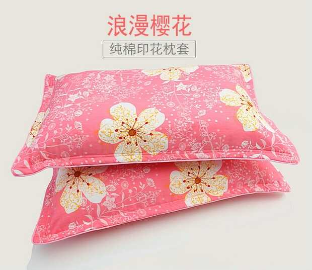 Học sinh dày gối bông bông gối đơn độc thân đáng yêu nhà 48X74cm bìa bông gối - Gối trường hợp gối tre