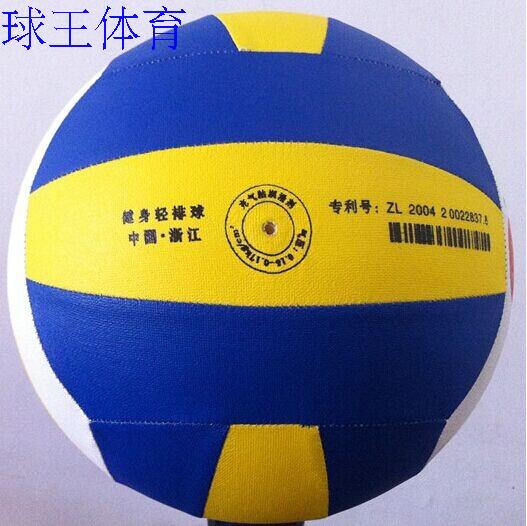 Ballon de volley-ball - Ref 2016518 Image 7
