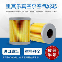 Ricchile vacuum pump filter element Weili air filter element 731142 731143 730518 730517