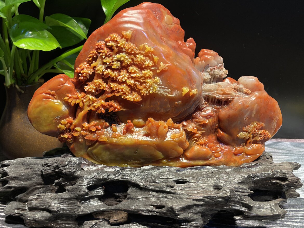 Shoushan Stone Alpine Stone Peacock Flowers, Birds, Flowers, Rich Ornaments, Seal Carving, Seals, Hand Lettering, Lao Stone