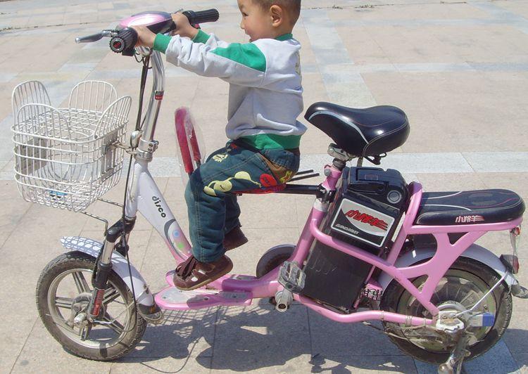siège enfants pour vélo - Ref 2413922 Image 17