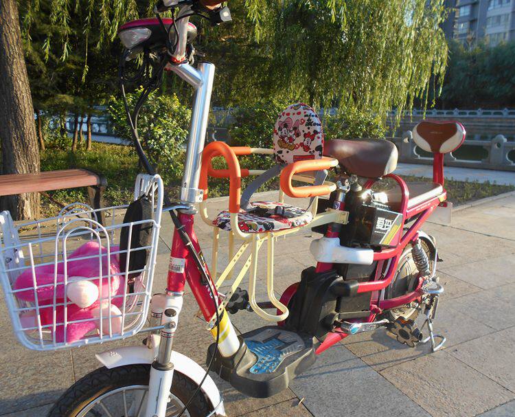 siège enfants pour vélo - Ref 2439989 Image 12