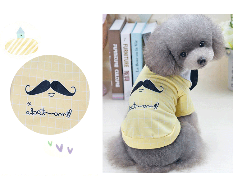 Quần áo cho chó Pet quần áo áo thun mùa xuân và mùa hè cho chó mỏng - Quần áo & phụ kiện thú cưng áo poodle