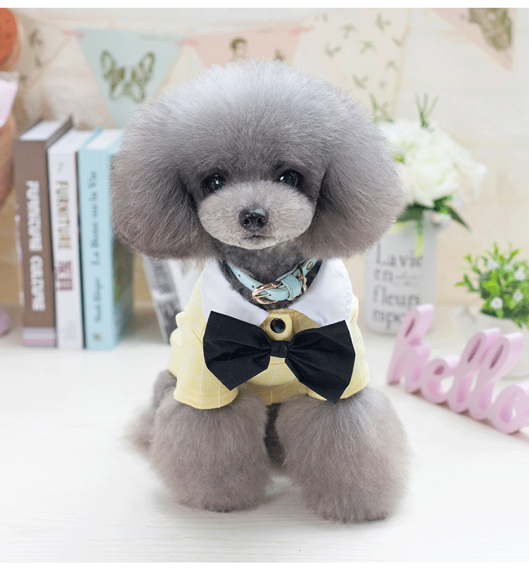 Quần áo cho chó Pet quần áo áo thun mùa xuân và mùa hè cho chó mỏng - Quần áo & phụ kiện thú cưng áo poodle