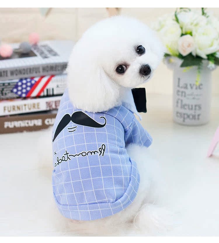Quần áo cho chó Pet quần áo áo thun mùa xuân và mùa hè cho chó mỏng - Quần áo & phụ kiện thú cưng áo poodle