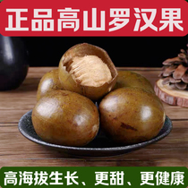 Alpine dried mangosteen fruit a specialty of Guilin Guangxi health-preserving scented tea fat sea heat-clearing and lung-clearing mangosteen tea