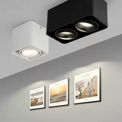 COB bucket dart lamp downlight single head double head home living room porch light ceiling corridor aisle Nordic