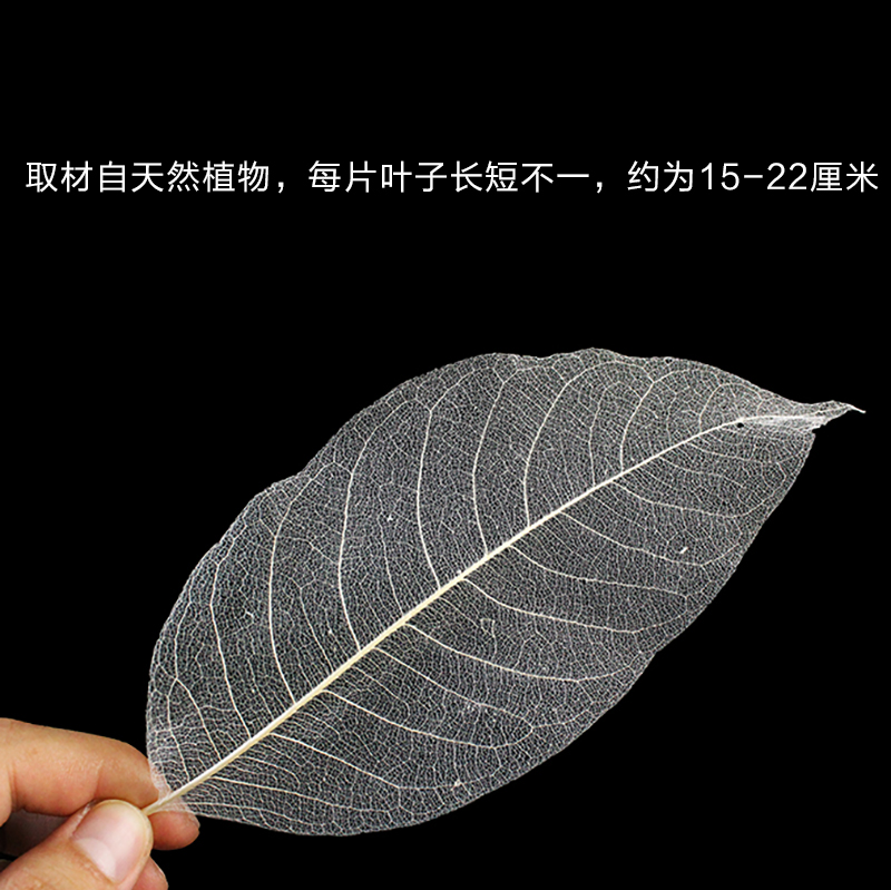 Amazon cicada leaf multi-color optional plate decoration embellishment creative plate recommended leaf cold art plate Chinese plate head