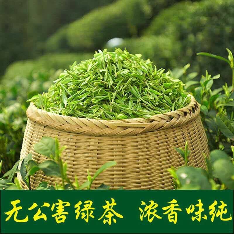 A catty fragrant foam-resistant new tea Rizhao green tea mountain cloud tea spring tea wholesale bulk