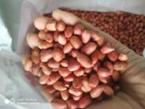 In 2021 the new goods Northeast red skin peanut rice four red peanut kernels farmer produces 500g
