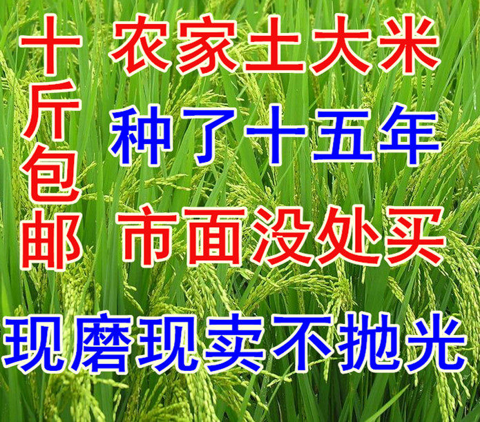 Pudding Rice Village Northeast Rice 2021 New Rice Soil Rice Pearl Rice No Polished Fragrance 10 pounds