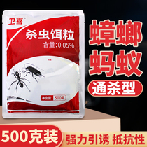 Wei Xi cockroach powder household kitchen infection whole nest end indoor cockroach bait agent insect killer Ant drug insecticide