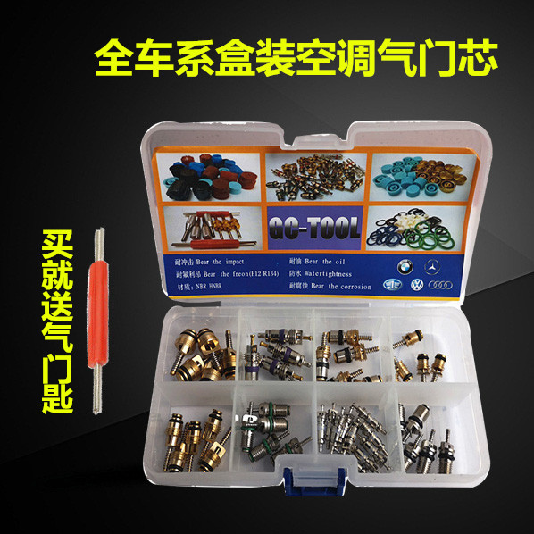 Suitable for Audi Fox Honda Buick Peugeot Citroen car air conditioning valve core pipeline needle valve core