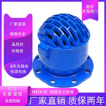 H42X-10 16 6 bottom valve water pump suction cast iron flange backflow bottom valve DN50 80100150200