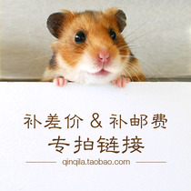 Xinjiang Good Department Store Special Supplement Link Price Difference how many Yuan to beat and how many pieces of postage remake shipping cost special