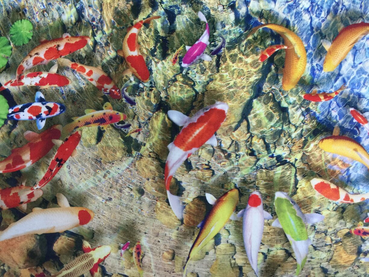 3380031660_1708049645