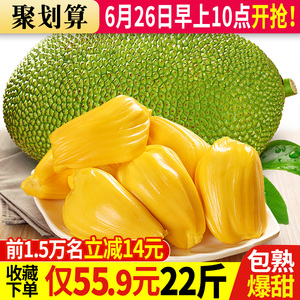 55.9元包邮 蔬果 海南新鲜菠萝蜜 22斤