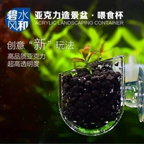 Clear water wind and acrylic landscaping Cup aquatic grass cup red insect Cup landscape bowl suction cup landscape Cup is more transparent than glass