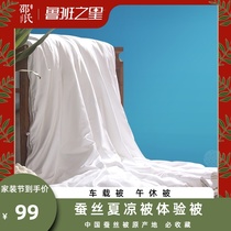 (Experience being silk quilt) children cotton 100 mulberry silk summer cool quilt cotton air conditioning is thin quilt core