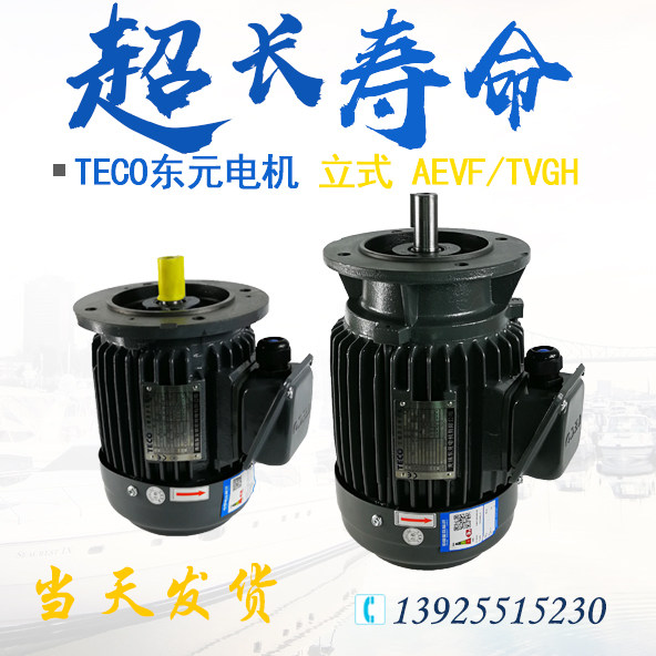 TECO Dongyuan Electric Motor 0 18KW 37KW 0 0 75KW 75KW 1 5KW Brake brake motor upright AEVFTVGH