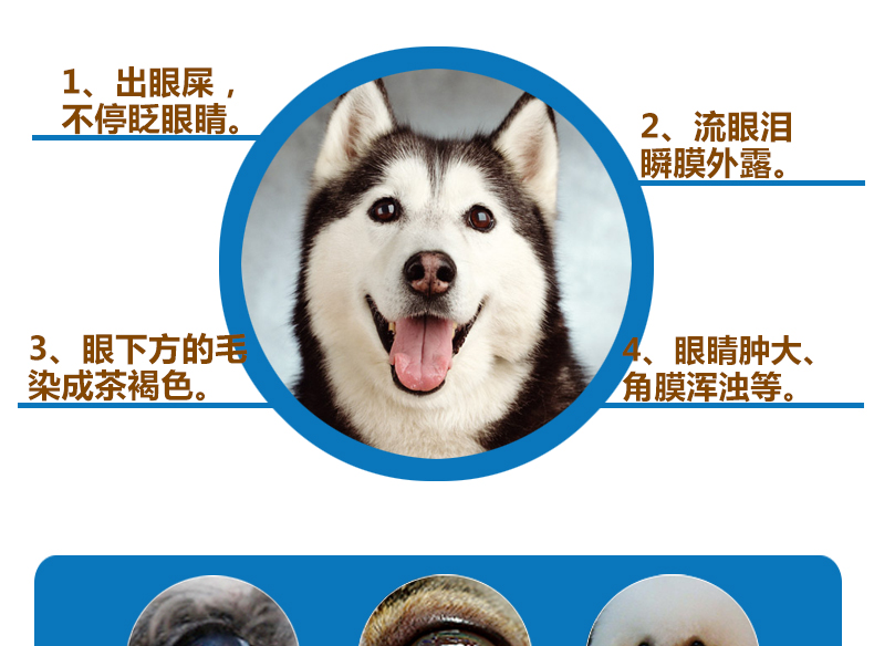 Remi Gao dog dog bảo vệ mắt phù hợp với thuốc nhỏ mắt thú cưng nước mắt sẹo chó và mèo nói chung chống viêm mắt - Thuốc nhỏ mắt nước muối nhỏ mắt