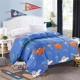 100% cotton một mảnh sinh viên chăn phim hoạt hình bông đơn twill 1.5x200 1.8 giường đôi 200x230 - Quilt Covers 	bộ chăn phao ga gối