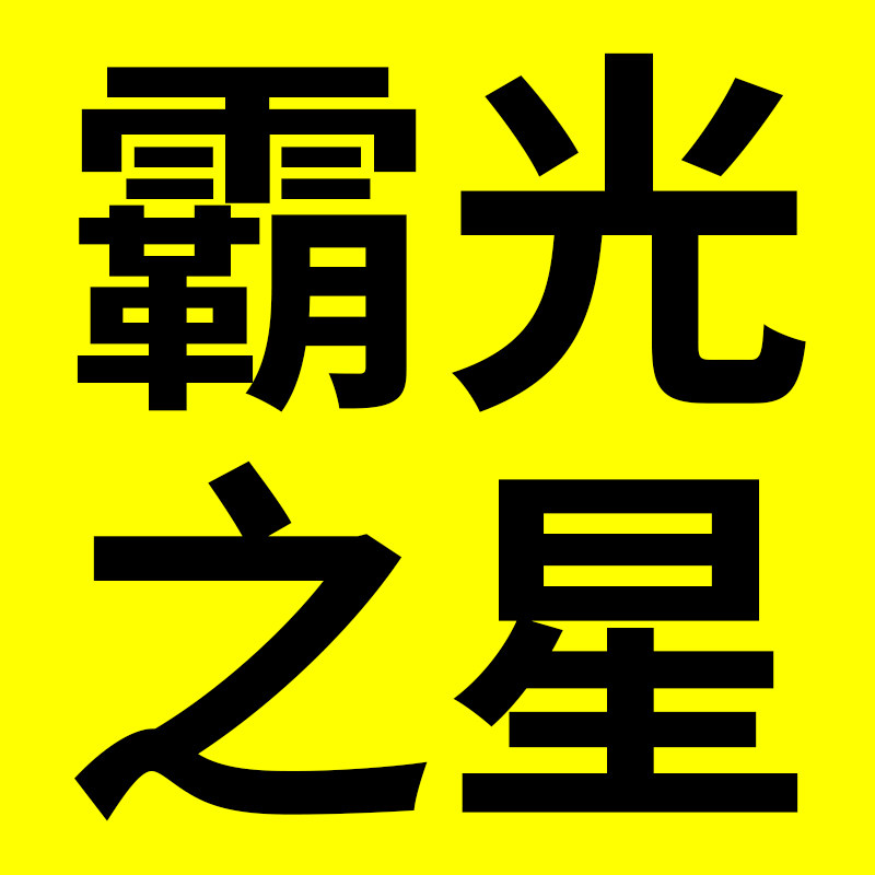 霸光之星户外照明的LOGO