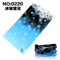 220 Snowflake 220 Ice Domain