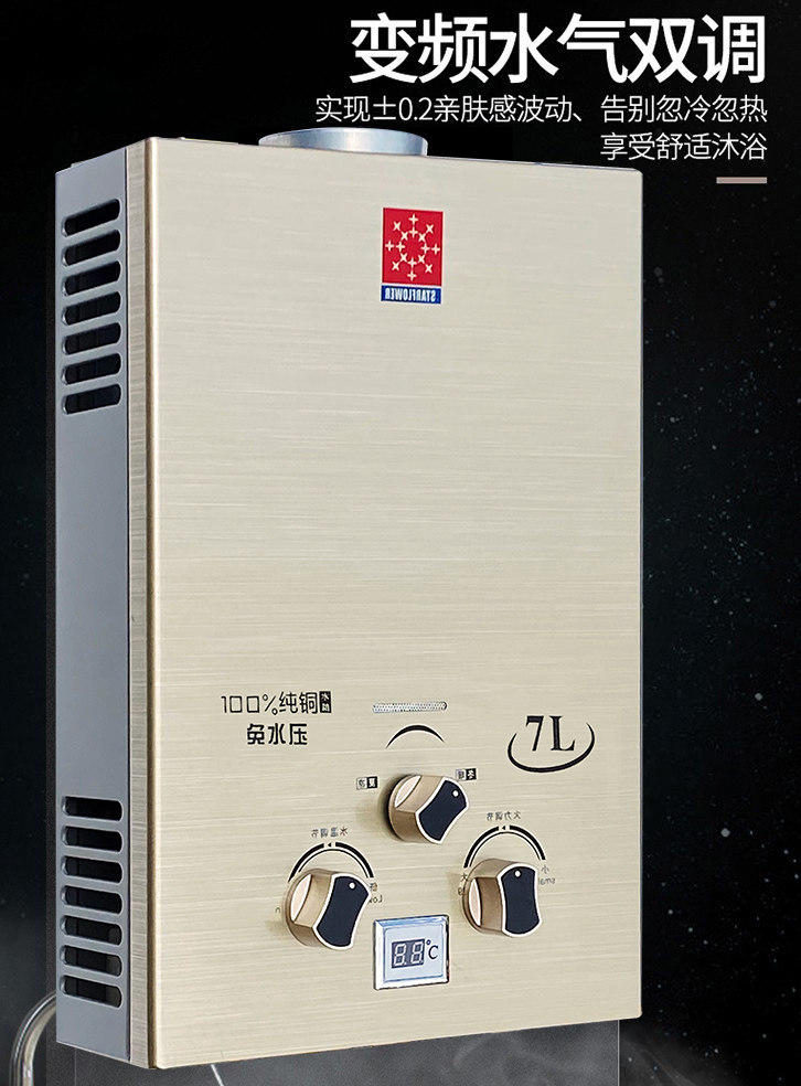 Газовый водонагреватель 家用燃气热水器煤气天然气液化气免水压出租房用洗澡强排平衡式 Shengjihua